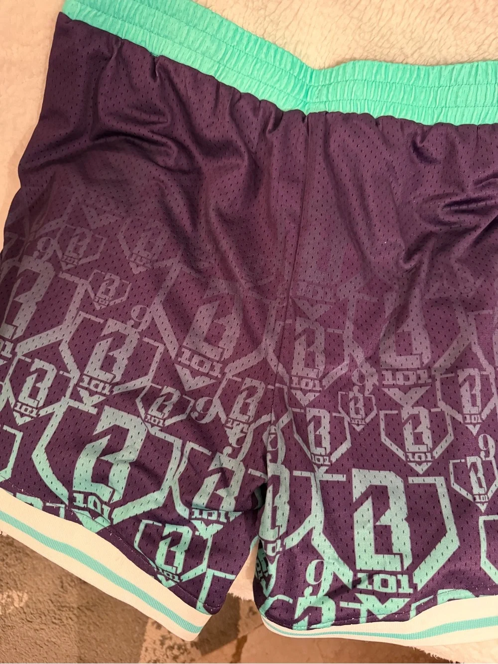 Baseball lifestyle  Purple & Teal Athletic Shorts size large